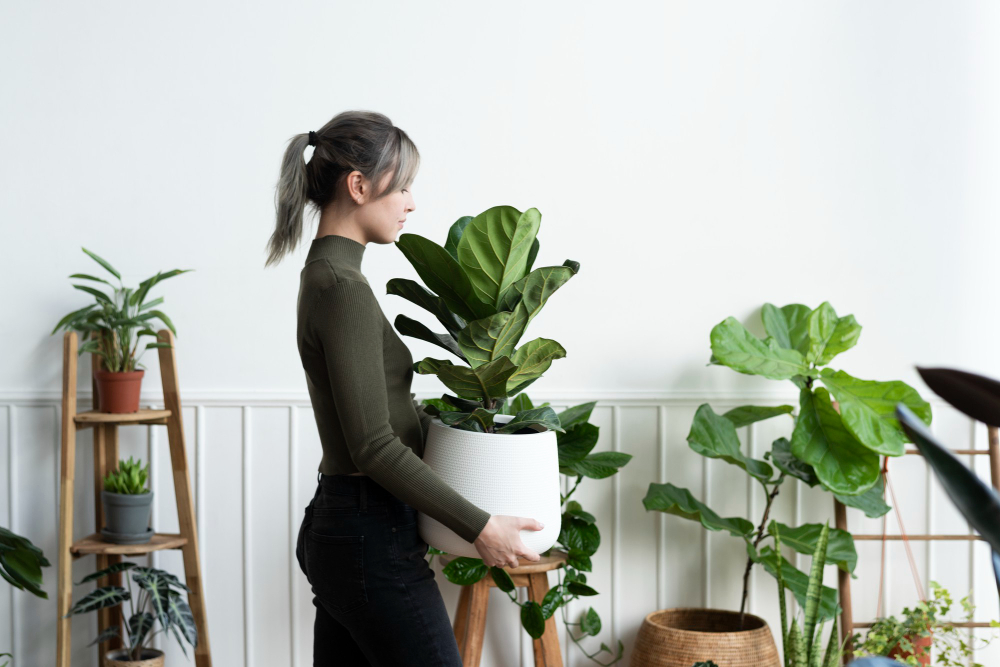 Moving Your Plants to a New Apartment