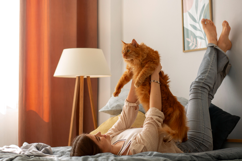 Pet-Friendly Apartment Living: Tips and Tricks